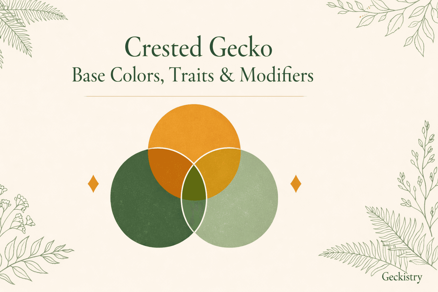 Crested gecko base colors, traits, and modifiers.